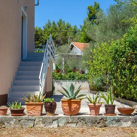 Daire With Parking Space Cove Gradina, Korcula - 25513 Vela Luka